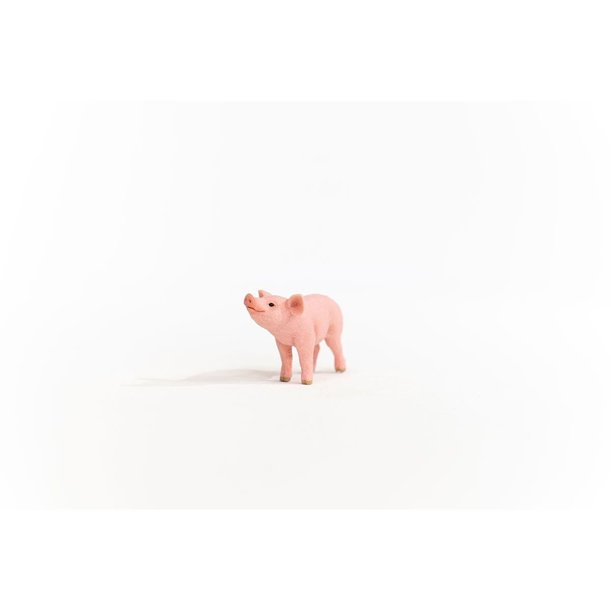 13934_piglet_01.jpg