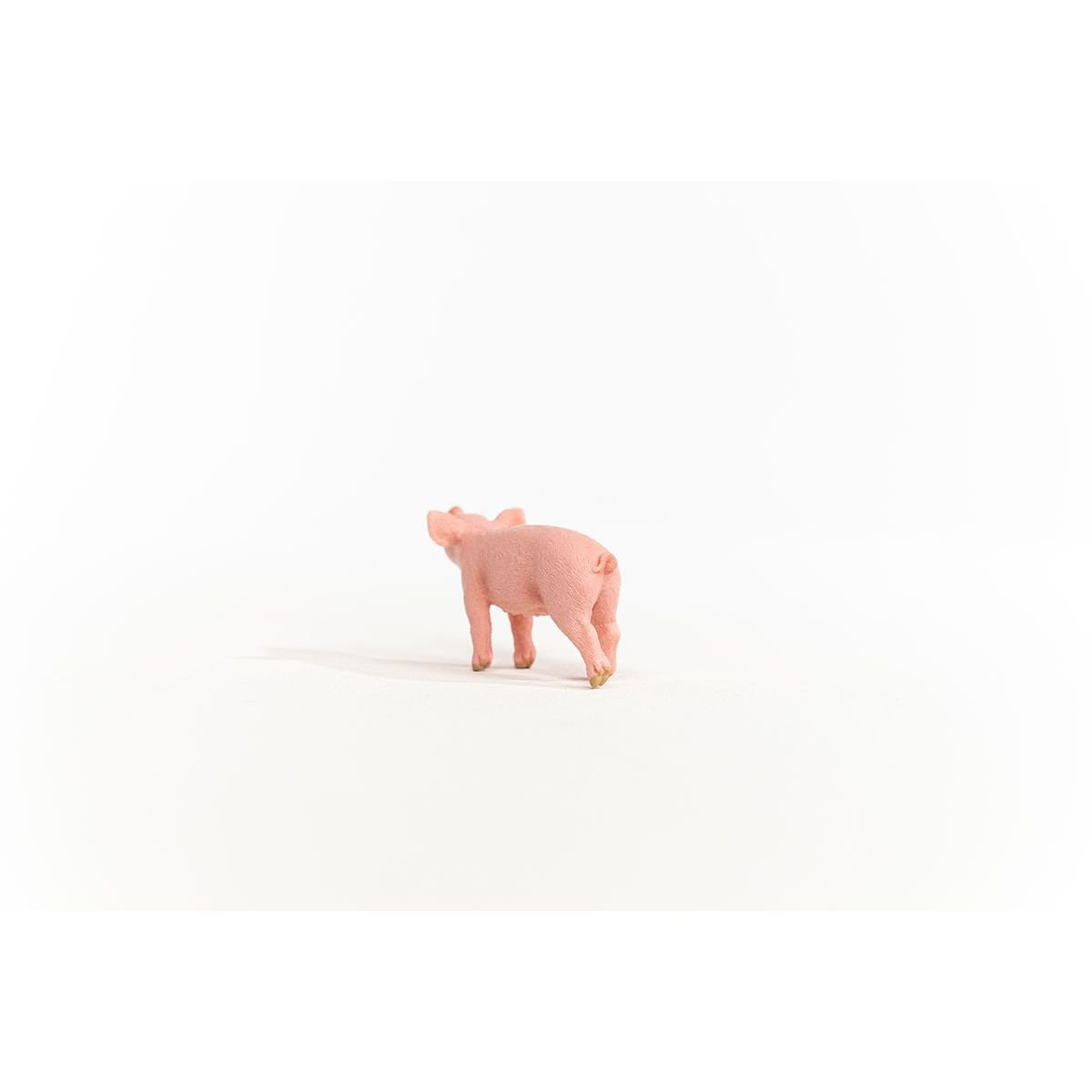13934_piglet_02.jpg