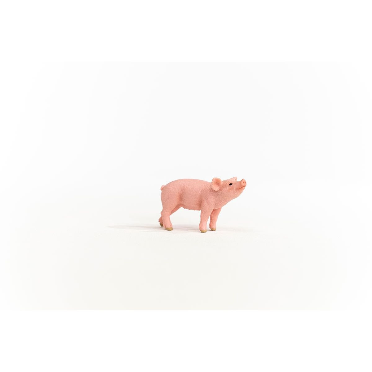 13934_piglet_04.jpg