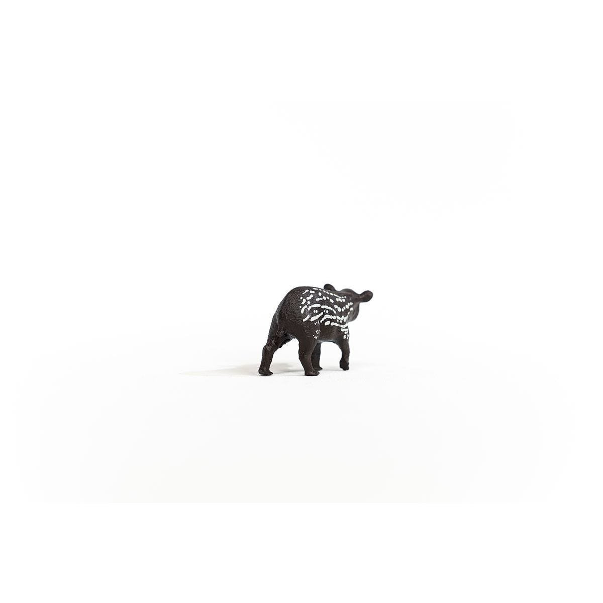 14851_tapir_baby_05.jpg