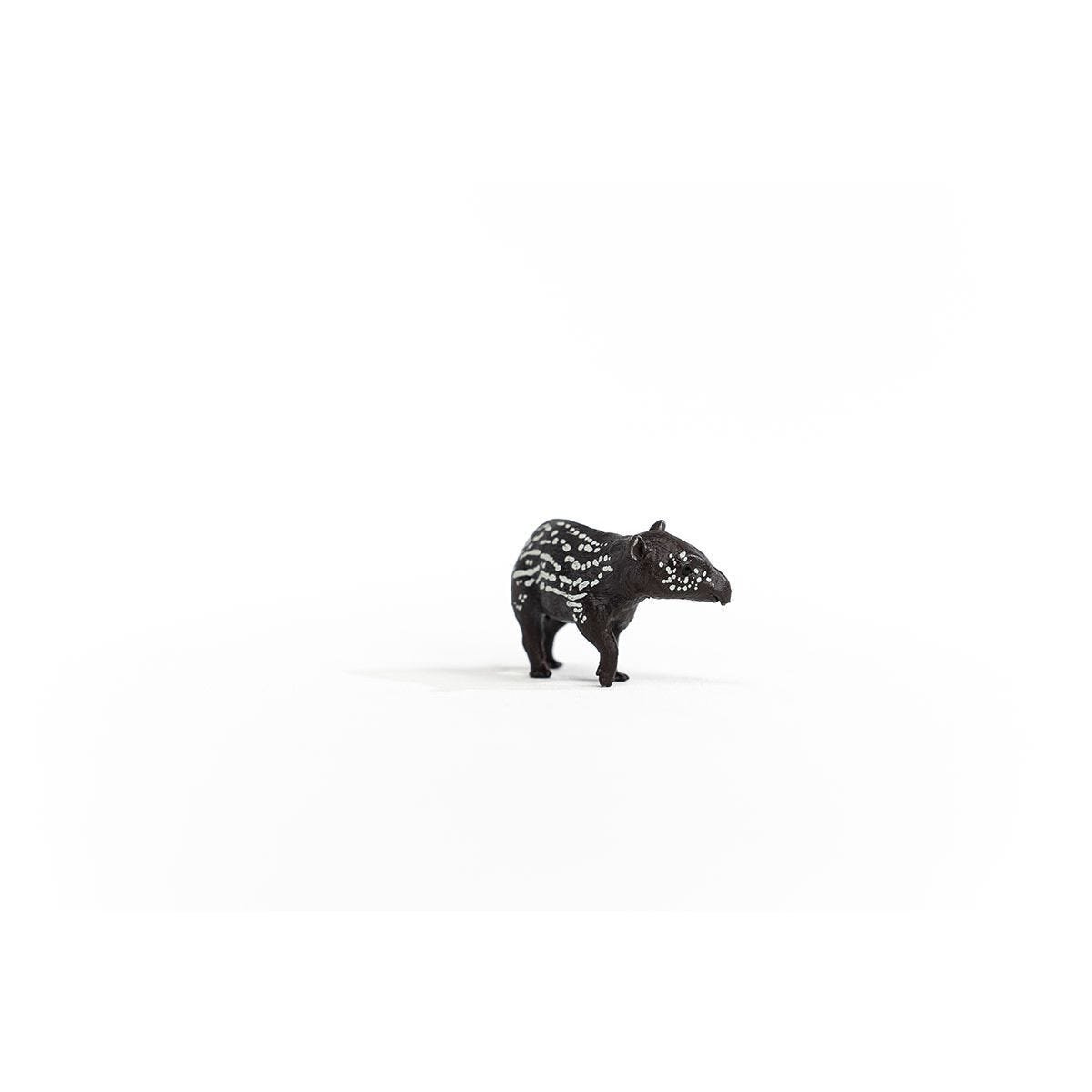 14851_tapir_baby_06.jpg