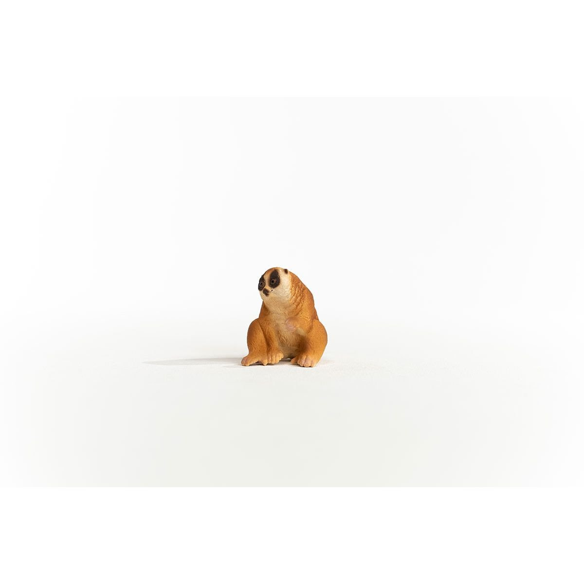 14852_slow_loris_02.jpg