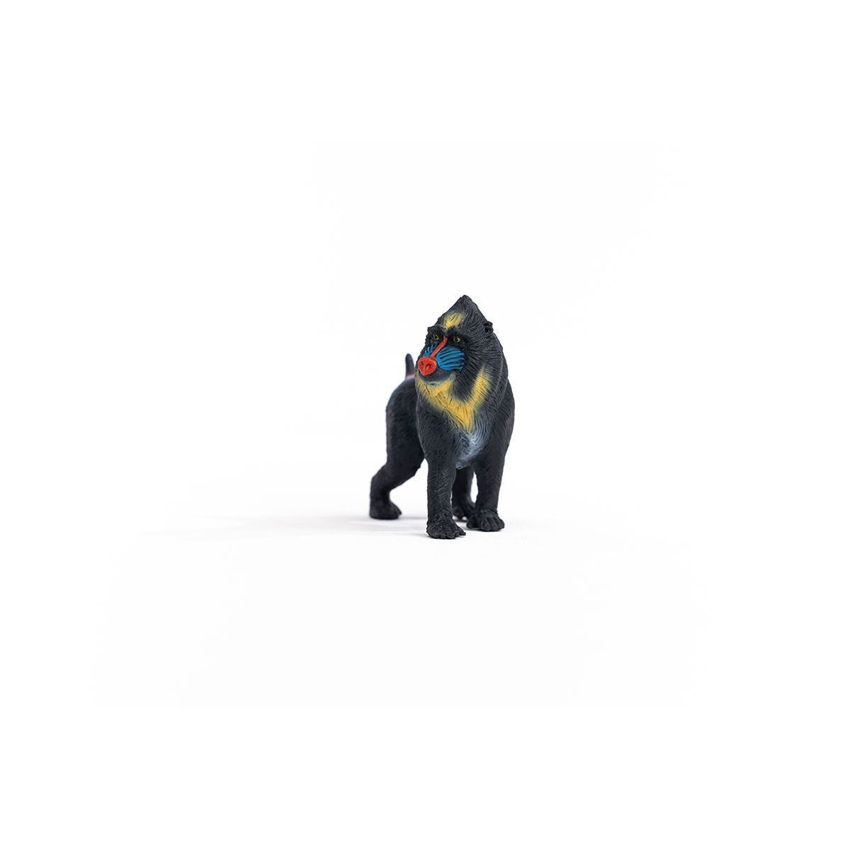 14856_mandrill_06.jpg