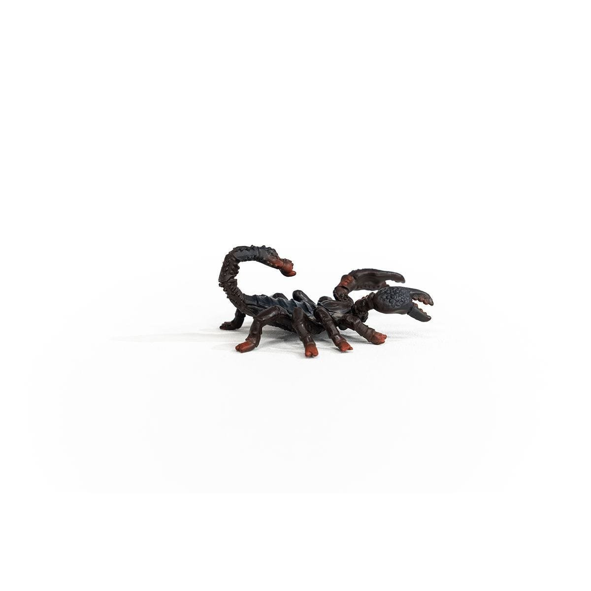 14857_emperor_scorpion_03.jpg