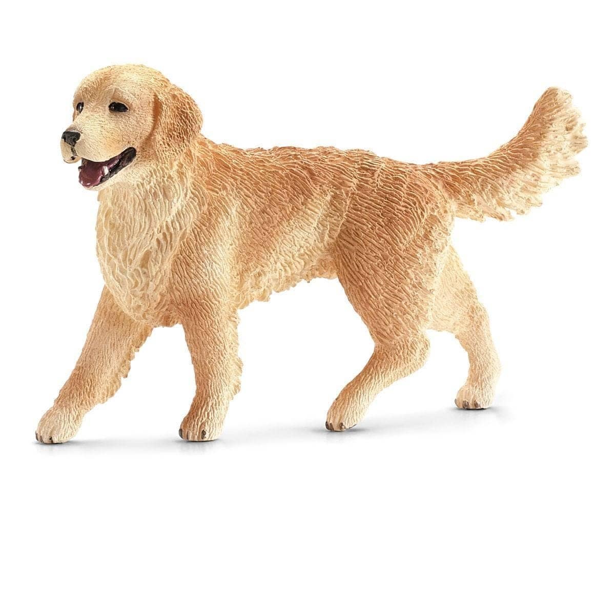 25608_SCH_GOLDEN_RETRIEVER_FEMALE__MDSC16395_ALT1.jpg