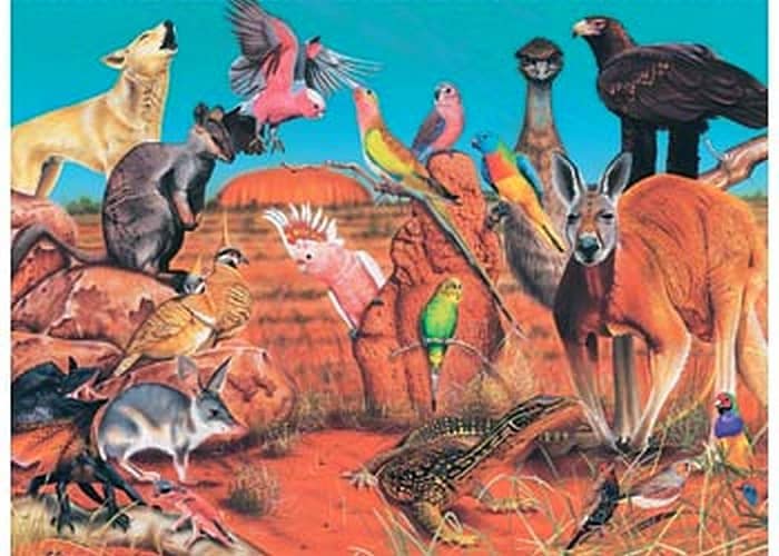 30345_PUZZ100_BO_WILD_AUS_THE_OUTBA_MDBL01977_ALT4.jpg