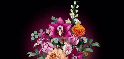 LEGO BOTANICAL COLLECTION